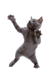 catdance.gif