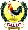 Logo_Gallo9_sem_deg_22.jpg