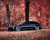 Audi rs6 black autum.jpg